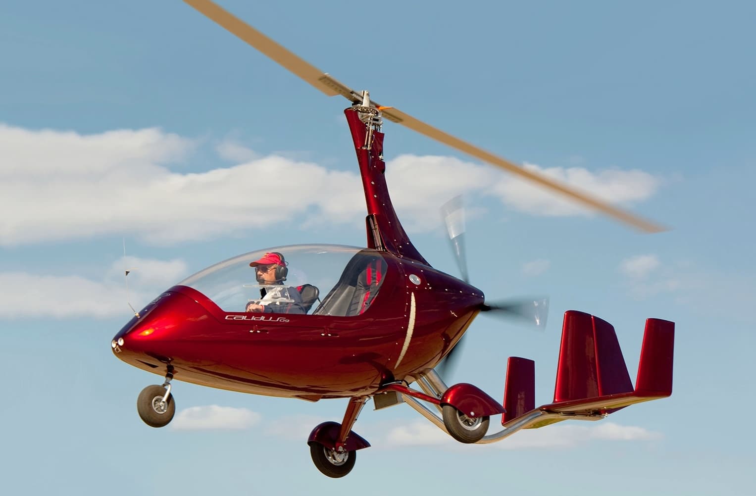 2019 AutoGyro Calidus